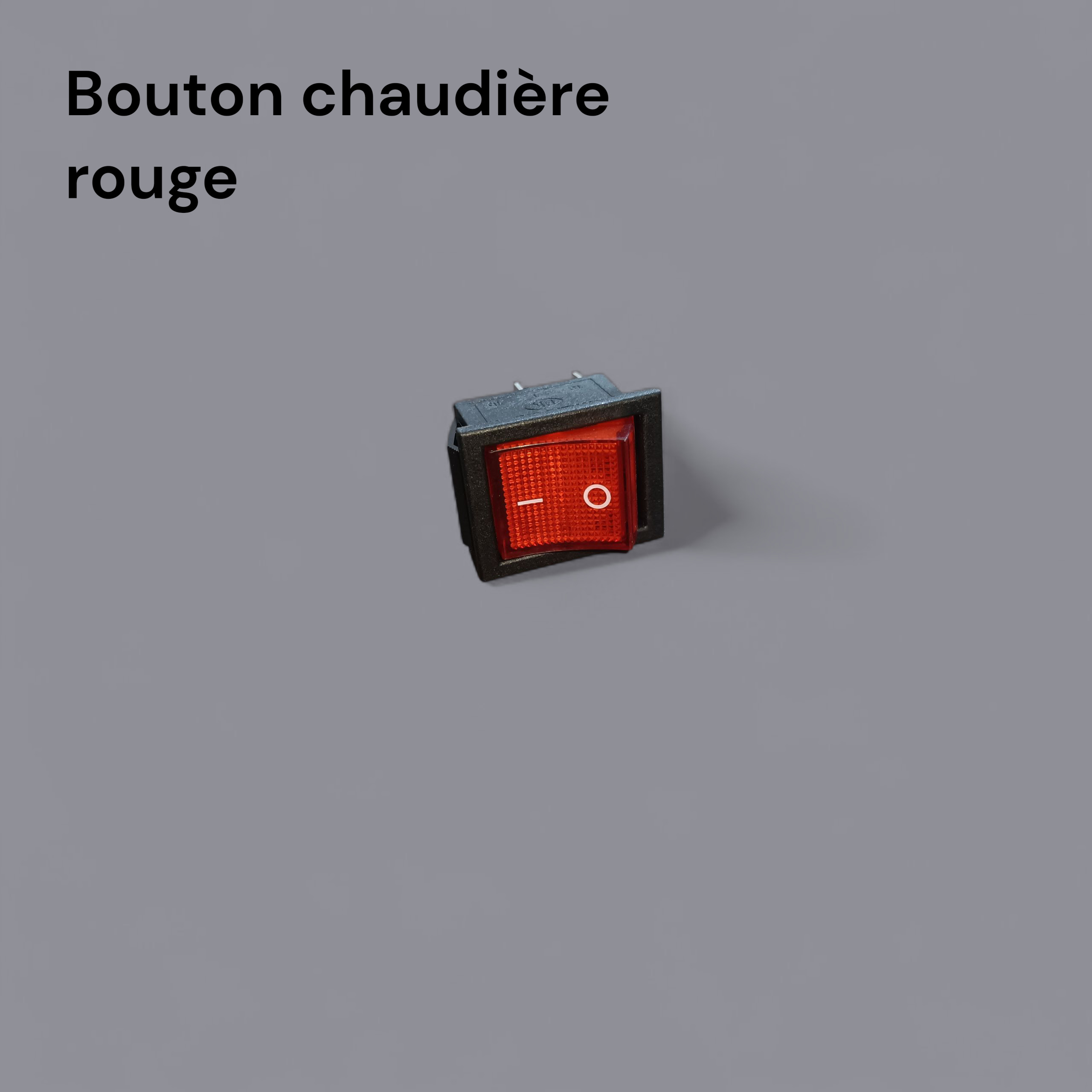 Photo00006969 Bouton chaudière rouge – Image 1